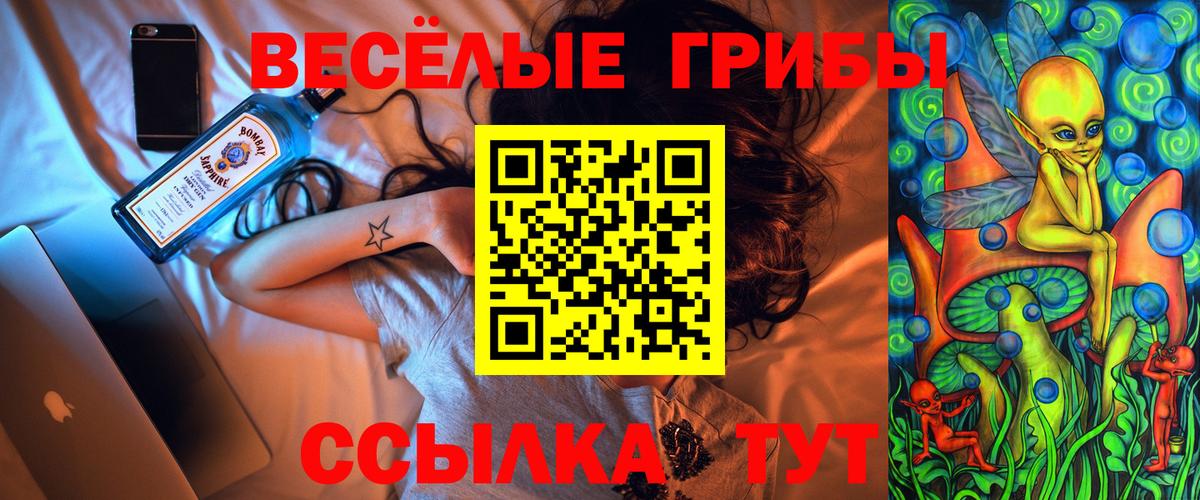 Галлюциногенные грибы ЛСД Находка